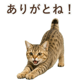 852787057