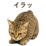 852787058