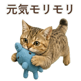 852787060