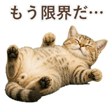 852787061