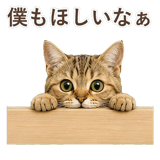 852787062