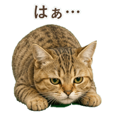 852787066