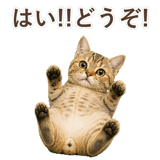 852787069