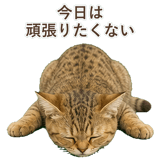 852787070