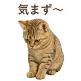852787072