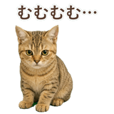 852787074