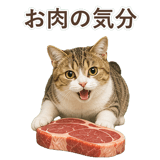 852787077