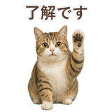 852787083