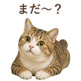 852787084