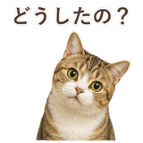 852787086