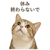 852787089