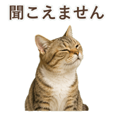 852787091