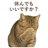 852787093