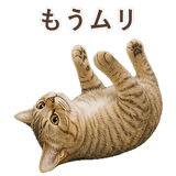 852787094