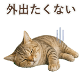 852787095