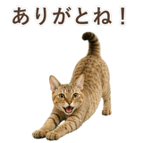852787097