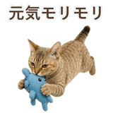 852787100