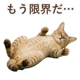 852787101