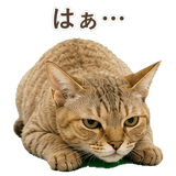 852787106