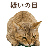 852787107