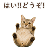 852787109