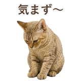 852787112