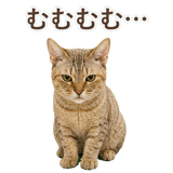 852787114