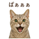 852787122