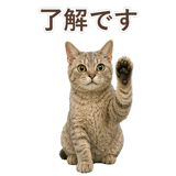852787123