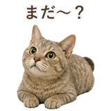 852787124