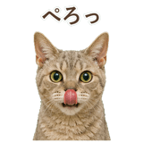 852787125