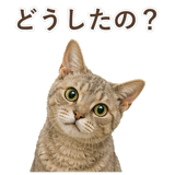 852787126