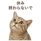 852787129