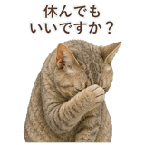 852787133