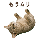 852787134