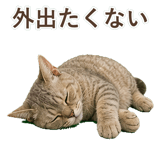 852787135