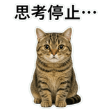 852787138