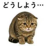 852787143