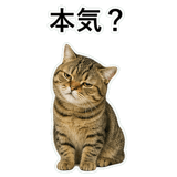 852787145