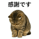 852787147