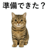 852787148
