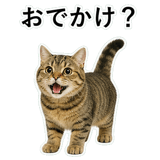 852787149