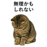 852787152