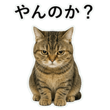 852787153