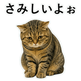 852787157