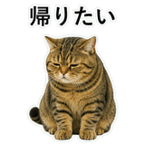 852787161