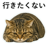 852787162