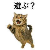 852787169