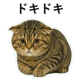852787170