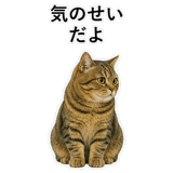 852787171